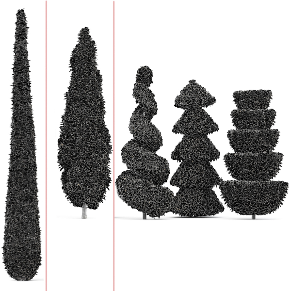 Pruned cedar trees