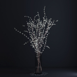 Prunus White Blossom