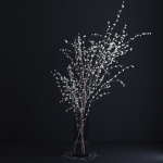 Prunus White Blossom