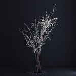 Prunus White Blossom