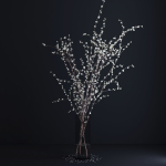 Prunus White Blossom