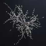 Prunus White Blossom