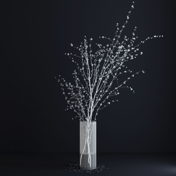 Prunus White Blossom