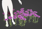 Purple Daisy Pbr