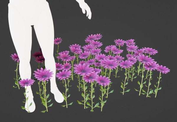 Purple Daisy Pbr
