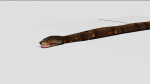 python snake dark brown