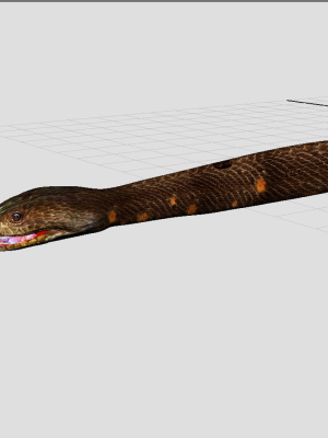 python-snake-dark-brown-3d-model-fbx-ma