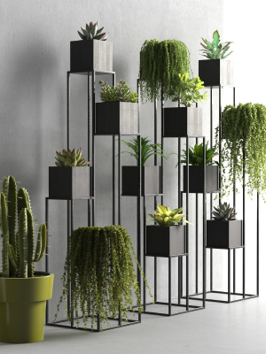 Quadrant Plant Stand
