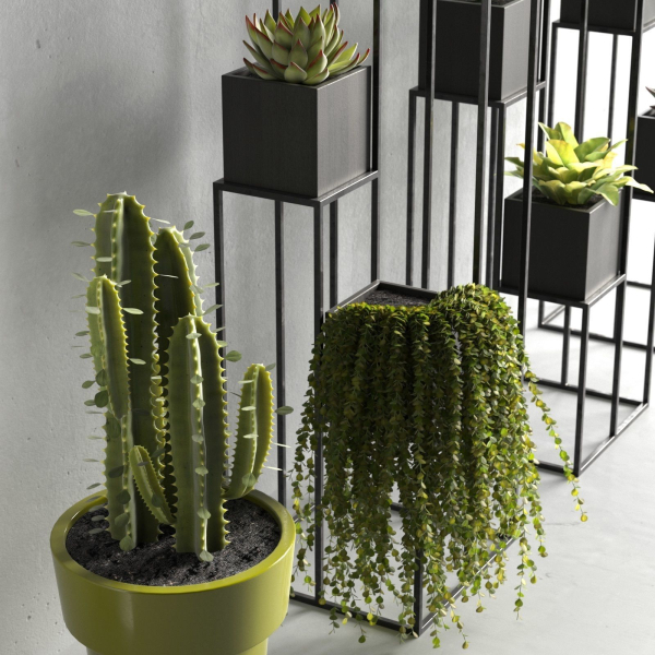 Quadrant Plant Stand