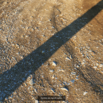Ralistic scanned roads