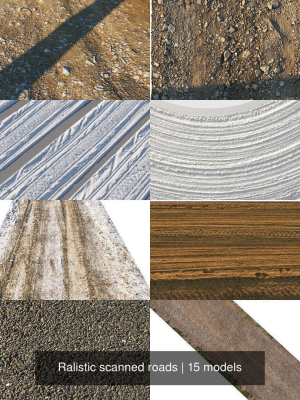 Ralistic scanned roads