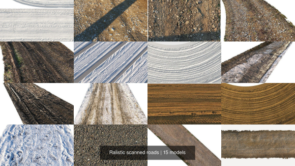 Ralistic scanned roads
