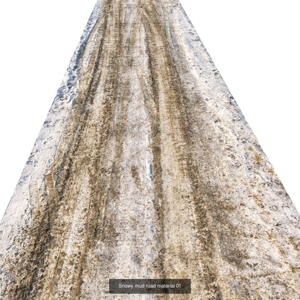 Ralistic scanned roads