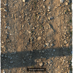 Ralistic scanned roads