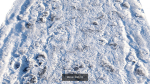 Ralistic scanned roads