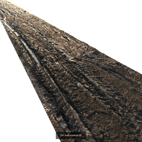Ralistic scanned roads