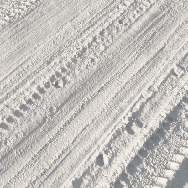 Ralistic scanned roads