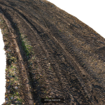 Ralistic scanned roads