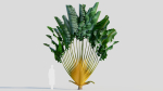 Ravenala madagascariensis b