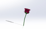 realistic 3d rose flower