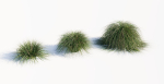 Realistic bush collection