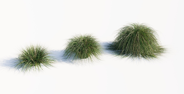 Realistic bush collection