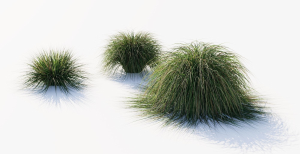 Realistic bush collection