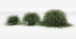 Realistic bush collection