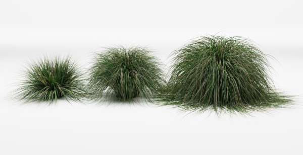 Realistic bush collection