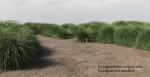 Realistic bush collection