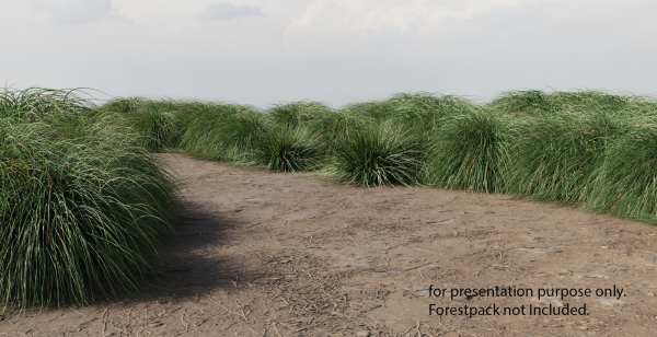 Realistic bush collection