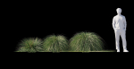 Realistic bush collection