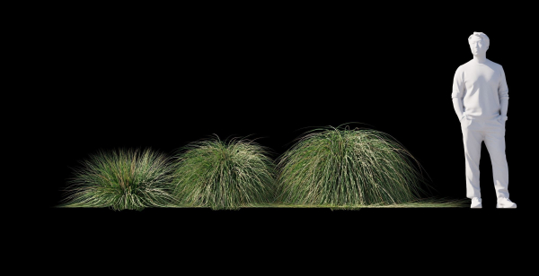 Realistic bush collection
