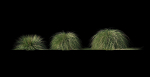 Realistic bush collection