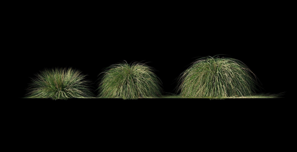 Realistic bush collection