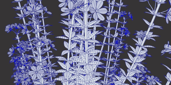 Realistic forest flowers