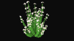 Realistic forest flowers