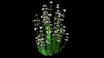 Realistic forest flowers