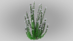 Realistic forest flowers