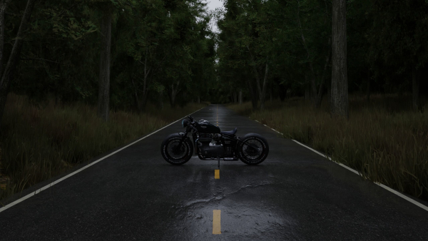 Realistic Forest Road Scene 3D Blender File Textured