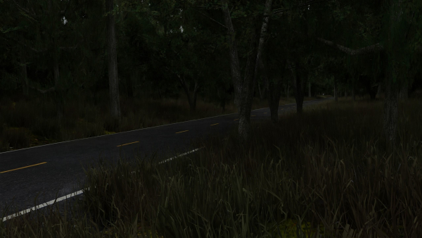 Realistic Forest Road Scene 3D Blender File Textured