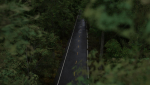 Realistic Forest Road Scene 3D Blender File Textured