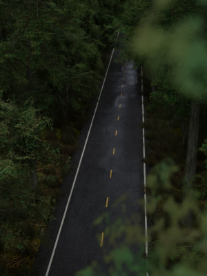Realistic Forest Road Scene 3D Blender File Textured