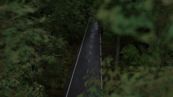 Realistic Forest Road Scene 3D Blender File Textured