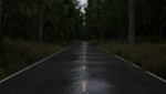Realistic Forest Road Scene 3D Blender File Textured