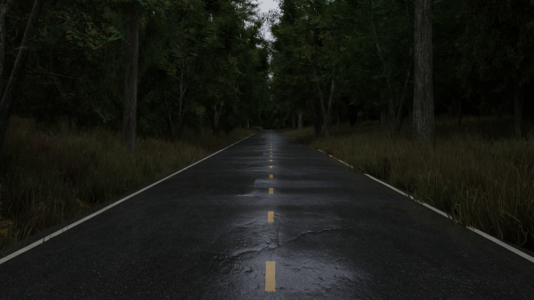 Realistic Forest Road Scene 3D Blender File Textured