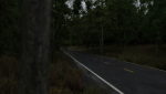 Realistic Forest Road Scene 3D Blender File Textured