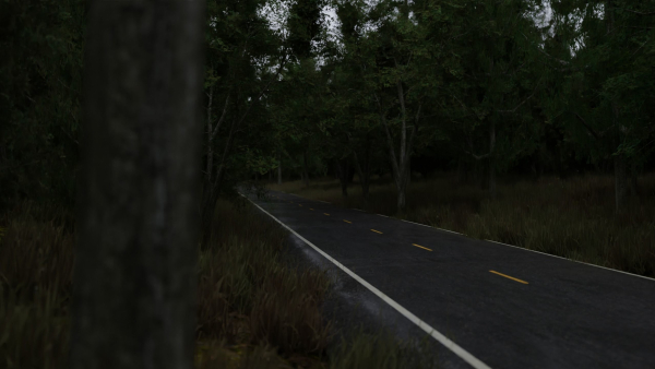 Realistic Forest Road Scene 3D Blender File Textured