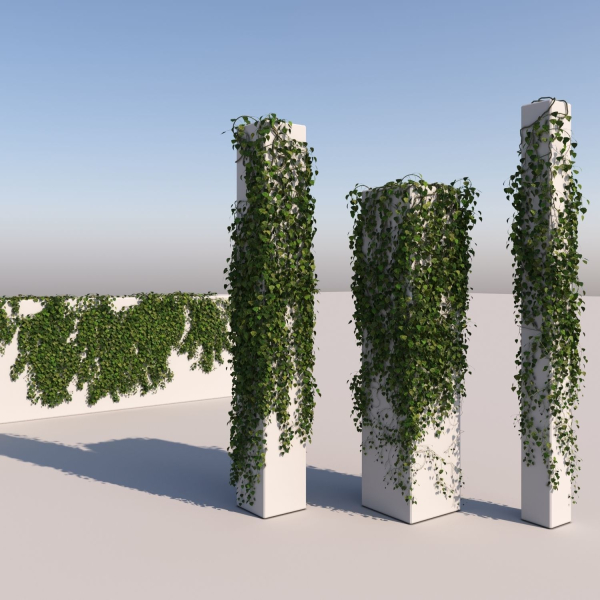 Realistic High Poly Hanging Ivy