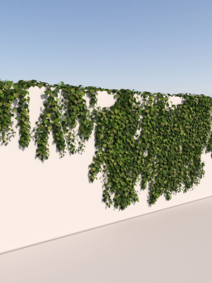 realistic-high-poly-hanging-ivy-3d-model-627f8c06b0